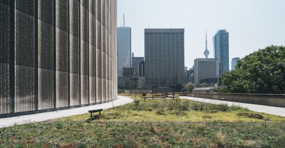 Urban Sustainability - Green Grass