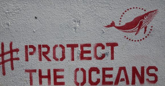Art Activism - Graffiti with inscription Protect the oceans placed on concrete wall